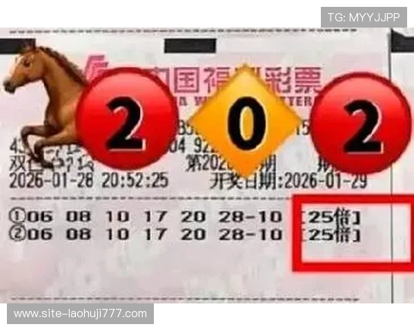 乐透角子机官网用户评价与真实体验分享，助你理性投注